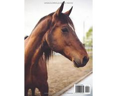 Mein Malbuch: Motiv Pferd No. 2 | DIN A4 | Blanko | Geschenkidee