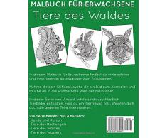 Malbuch für Erwachsene: Tiere des Waldes