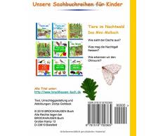 BROCKHAUSEN - Tiere im Nachtwald - Das Mini-Malbuch