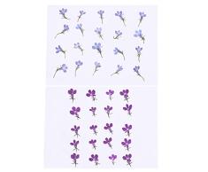 Fansport 20PCS getrocknete Blume Niedliche DIY natürliche Blumenpresse Blume für Telefon Fall Nail Art(Blau + Lila)