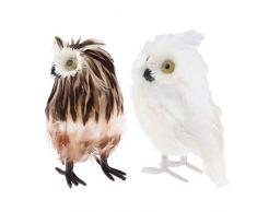 joyMerit Set AUS 2 REALISTISCHEN PLÜSCHEULEN DEKOR, KINDERBILDUNGS Spielzeug, 7 Weiss & BRAUN