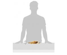 Trixie 35930 Hund mit Tau, Stoff/Plüsch, 30 cm