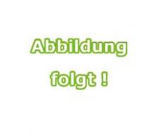 Eberhard Faber 526000 Wandtafelkreide 12er Stück