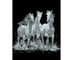 MAMMUT 136005 - Kratzbild, Motiv Wildpferde, silber, glänzend, Komplettset mit Kratzmesser und Übungsblatt, Scraper, Scratch, Kritzel, Kratzset für Kinder ab 8 Jahre