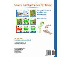 BROCKHAUSEN Bastelbuch Bd.2: Das große Buch zum Ausmalen und Ausschneiden: Tiere am See (Kleinste Entdecker)