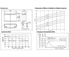 Akku kompatibel Peg Perego Kinderfahrzeug Kinderauto 6V 12Ah AGM Blei wie 10Ah
