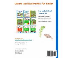 BROCKHAUSEN - Das grosse Malbuch: Tiere am See