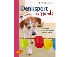 Denksport für Hunde: Knobelspiele schnell und einfach selbstgemacht