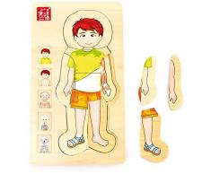 small foot 5842 Holzpuzzle Anatomie Junge, Skelett, Muskeln, Blutbahn und innere Organe, 29-tlg. Puzzleab, 3 Jahre