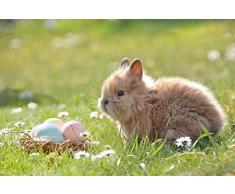 JFZJFZ Malen nach Zahlen für Erwachsene und Kinder DIY Ölgemälde Geschenk-Kits Ostern Osterhasen Ei Ostereier