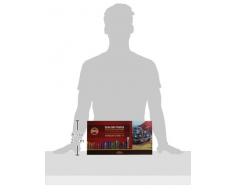 Koh-I-NOOR Toison D or 8556 Künstler-Extra weiche Pastellkreiden (48 Stück)