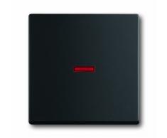 Busch-Jaeger 1789-885 Wippe