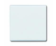 Busch-Jaeger 2106-34 Wippe