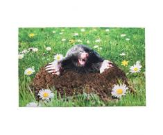 Esschert Design Türmatte Maulwurf aus Polyester/Kunststoff, 75 x 45,4 x 0,4 cm, Fußabstreifer, Fußabstreifer, Schuhabstreifer, Schuhmatte