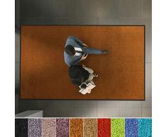 etm Hochwertige Fußmatte | schadstoffgeprüft | bewährte Eingangsmatte in Gewerbe & Haushalt | Schmutzfangmatte mit Top-Reinigungswirkung | Sauberlaufmatte waschbar & rutschfest (40x60 cm, Braun)