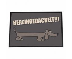 4you Design Designer Fußmatte hereingedackelt - Innenbereich - Außenbereich - Türmatte Schmutzfangmatte - 40 x 60 cm