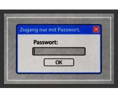 Fussmatte Zugang nur mit Passwort Fußmatte Schmutzmatte Türabstreifer Türmatte Fußabstreifer 60 x 40 cm