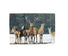 Fußmatte Schmutzabstreifer Fussmatte Fussabstreifer Sauberlaufmatte Fußabstreifer / Fußabtreter Türmatte Schmutzfangmatte - Wild - Hirsch - Grösse 50 x 75 cm