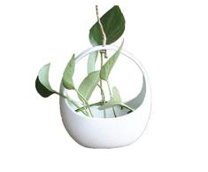 PillowCry Keramik-Hängetöpfe, weiß, Hydrokultur, Wohndekoration, oval, Schreibtisch Topf