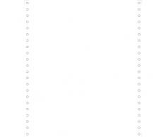 EXACOMPTA Computerpapier endlos, 240 mm x 11´ 27, 94 cm