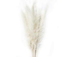 Fanville 15 Stücke Natürliche Getrocknete Kleine Pampasgras Phragmites Communis Dekoration für Home Hotel Hochzeit Handwerk Geschenk Hochzeit