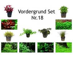 Tropica Vordergrund Set mit 6 Topf Pflanzen Aquariumpflanzenset Nr.18 Wasserpflanzen Aquarium Aquariumpflanzen