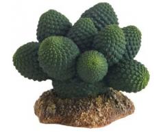 Hobby 37018 Kaktus Atacamma, Höhe 7 cm