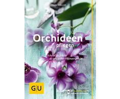 Orchideen pflegen: Schritt für Schritt zu exotischer Pflanzenpracht (GU Praxisratgeber Garten)