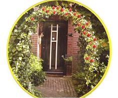 Rosenbogen 240x140x37cm Metall Pergola Rankhilfe Rankgitter Torbogen