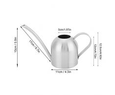 Jeffergarden Edelstahl Gießkanne Pflanze Blume Langen Auslauf Gießkanne Indoor Outdoor Home Balkon Garten(1L)