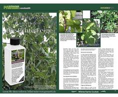 Feigen-Dünger HIGH-TECH Ficus carica NPK, Echte Feige, Pflanzen in Beet und Kübel düngen