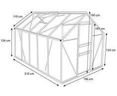 Zelsius Aluminium Gewächshaus für den Garten | 310 x 190 cm | 6 mm Platten | Vielseitig nutzbar als Treibhaus, Tomatenhaus, Frühbeet und Pflanzenhaus