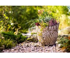 Serenti-Keramik | Keramik Pflanzgefäß frostsicher | Rustikale Optik | 31 cm Durchmesser | Winterfest | Unikat | (B3)
