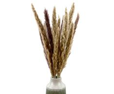 Livslyst 20x Pampasgras (Cortaderia selloana) natürlich getrocknet, Dekoration Deko (Hochzeit, Events, Anlässe, Party), Inneneinrichtung, Interior Trockenblumen, Boho-Chic - Länge ca 60-70 cm, Natur