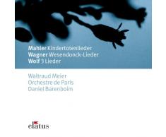 Wesendonck Lieder : III Im Treibhaus