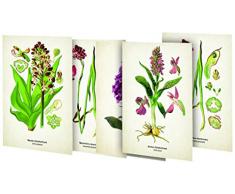 Kunstklappkarten Zauberhafte Orchideen