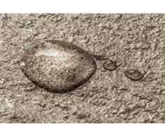 CleanPrince Natursteinversiegelung 1 Liter wasserabweisend ölabweisend, hochergiebig, frostbeständig, UV-stabil, ohne Glanz, Gartenplatten, Terrassenplatten, Klinker, Ziegel, Sandstein, Granit, unpoliertes Feinsteinzeug, offenporige