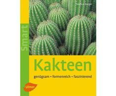 Kakteen: Genügsam, formenreich, faszinierend