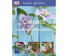 besser gärtnern - Clematis & andere Kletterpflanzen