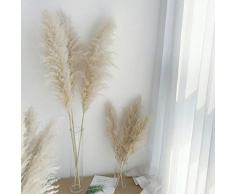 pah-macy Pampasgras, natürlich getrocknet - Plant Wedding Flower Bunch for Home Decorations vom Hochzeitstrend zum Interior-Liebling! (Naturfarben)-Primärrohr 10_Trockene Zweige