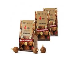 ZARELO Feuerkugel natürlicher Kamin- und Grillanzünder, Extrem Lange Brenndauer, 3 Packungen,100% natürliche Anzünder aus Holz und Wachs, Feuerbällchen mit Docht zum einfachen Anzünden