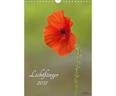 Lichtfänger (Wandkalender 2021 DIN A4 hoch)
