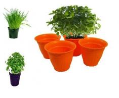 Kräutertopf Blumentopf Pflanzentopf für Kräuter und Blumen von Conny Clever® das 4er Set rund orange