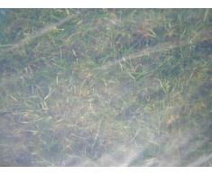 UV2 Treibhausfolie Gewächshausfolie Gartenfolie in 8m Breite für Tomatenhaus Gewächshaus (Meterware)