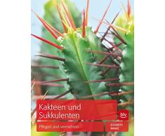 Kakteen und Sukkulenten: Pflegen und vermehren