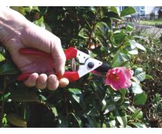 C.K Gartenschere Legend, Mehrfarbig, 215 mm