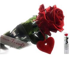 Rosen-Te-Amo – Konservierte ewige rote Rose dazu ein kleines Herz und Grußkarte zum Herunterladen; Infinity Rosen - Deko und Geschenk geliefert in neuer verstärkt Verpackung