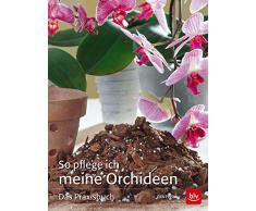 So pflege ich meine Orchideen: Das Praxisbuch