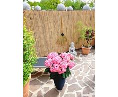 Schilfrohrmatte 30x600 cm - Natur Wind und Sichtschutzmatte aus Schilfrohr für Haus, Garten und Balkon