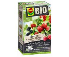 COMPO BIO Beeren Langzeit-Dünger für alle Beerenpflanzen, Kern- und Steinobst, 5 Monate Langzeitwirkung, 2 kg